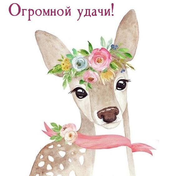 Огромной удачи!