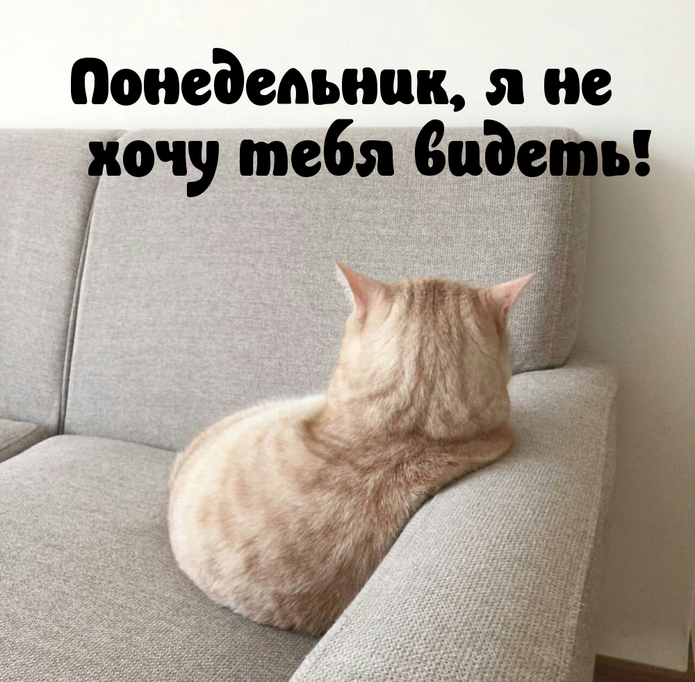 Понедельник, я не хочу тебя видеть!