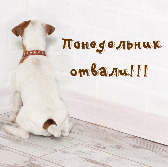 Понедельник отвали!