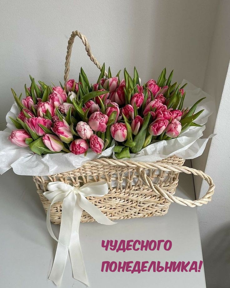 Чудесного понедельника!