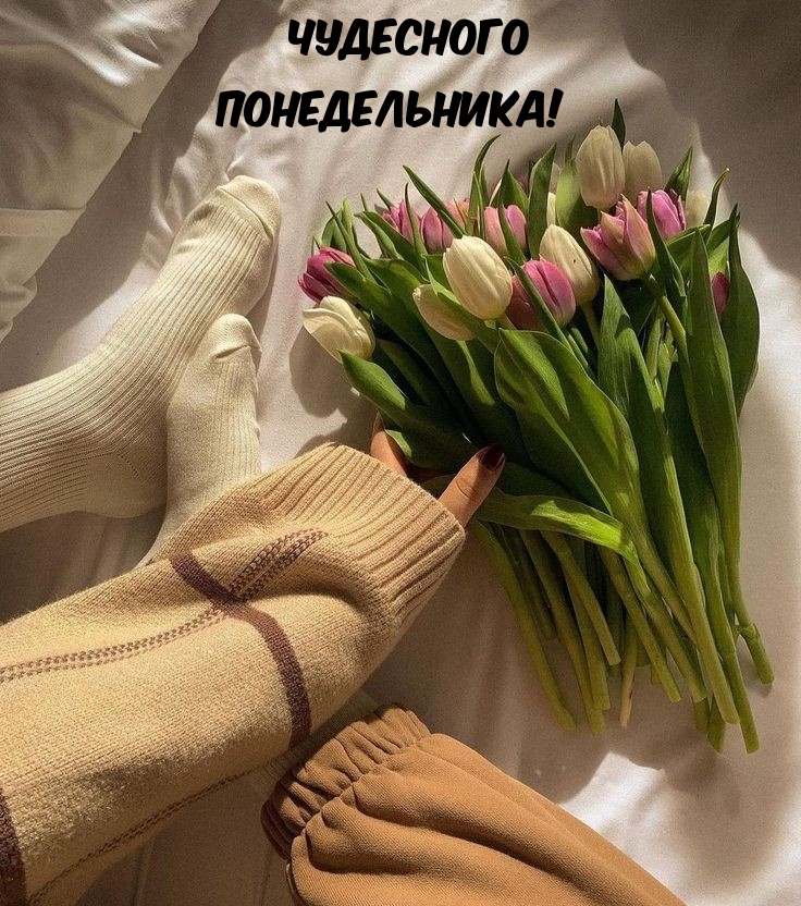 Чудесного понедельника!