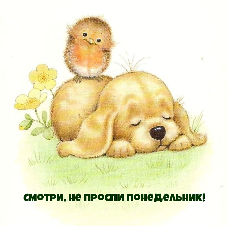 Смотри, не проспи понедельник!
