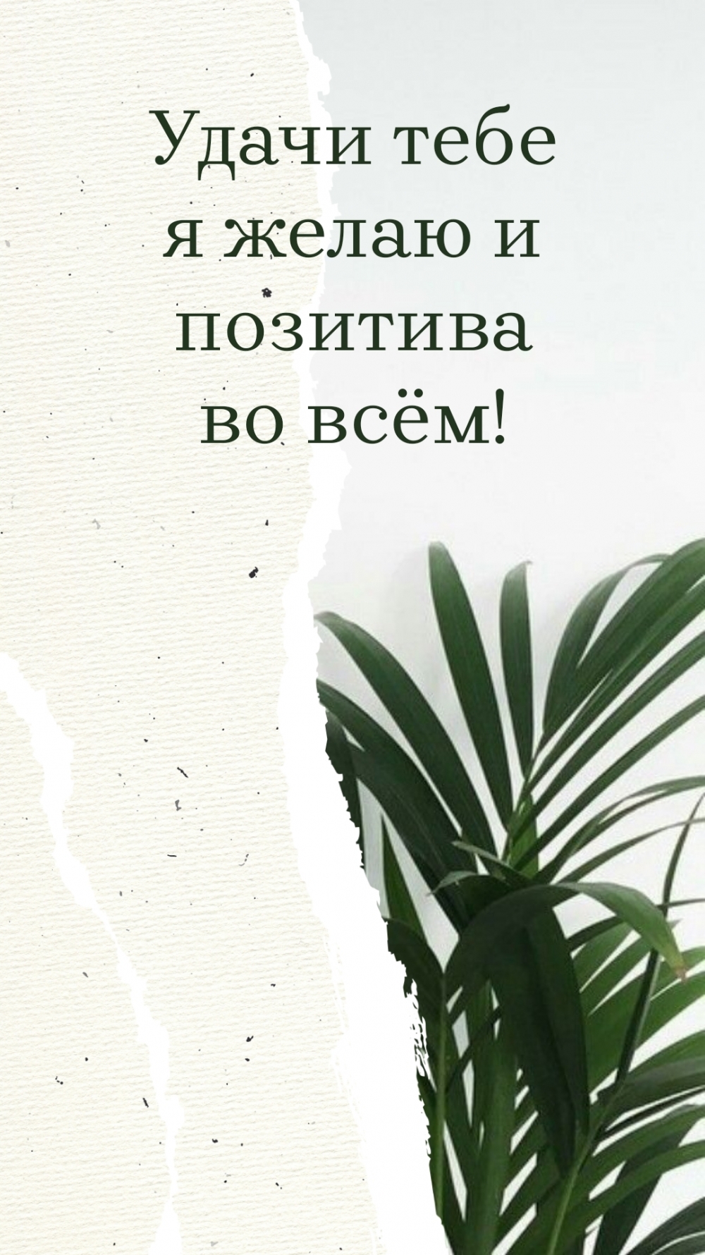 Удачи тебе я желаю и позитива во всём!