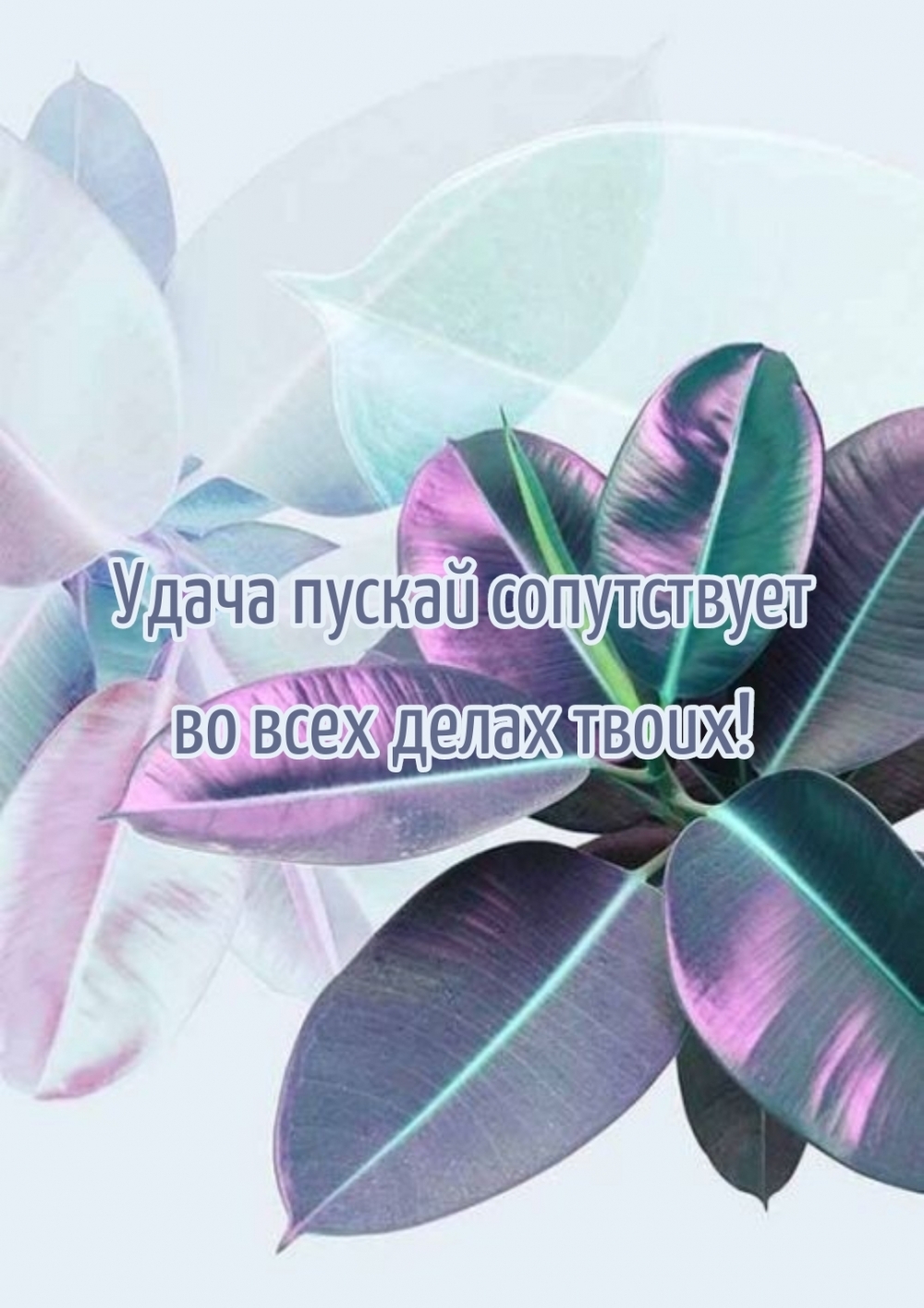 Удача пускай сопутствует во всех делах твоих!