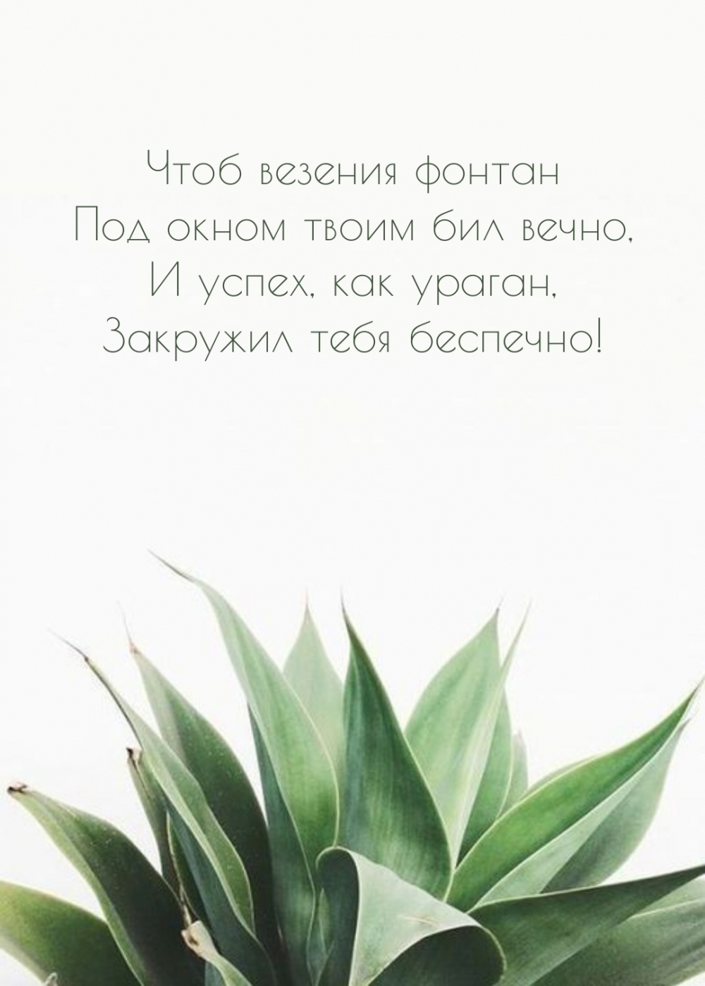 Чтоб везения фонтан под окном твоим бил вечно