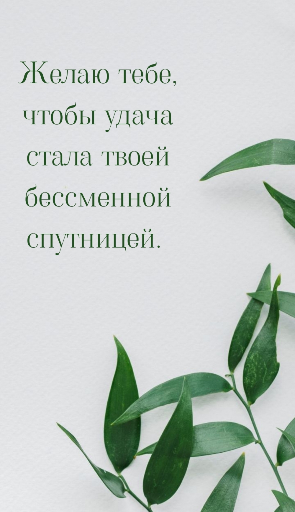 Желаю тебе, чтобы удача стала твоей бессменной спутницей.