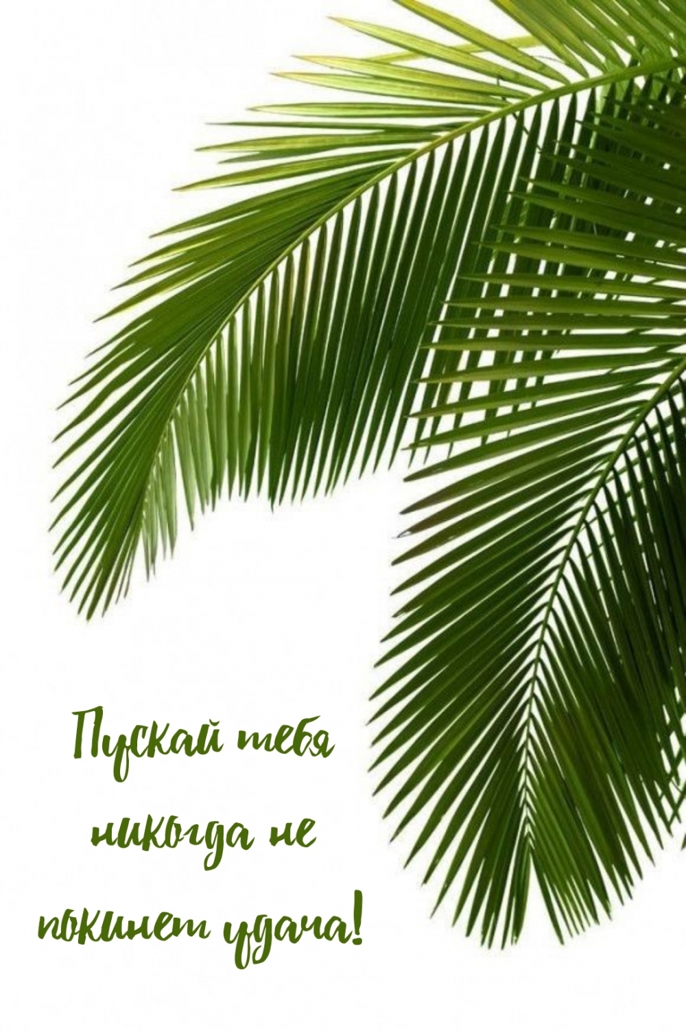 Пускай тебя никогда не покинет удача!