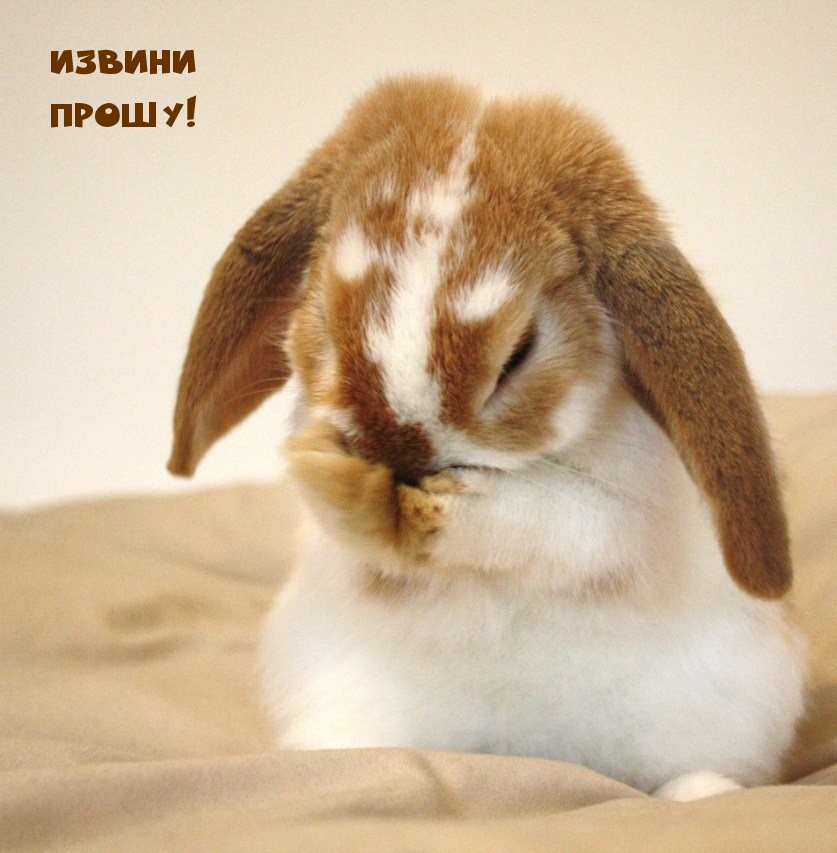 Извини прошу!