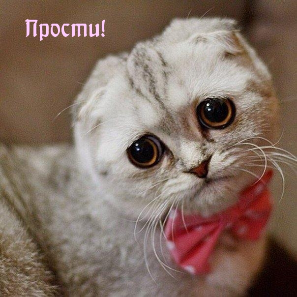 Прости!