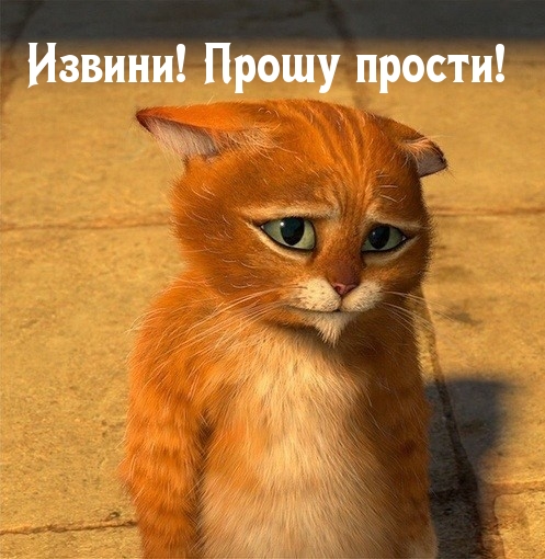 Извини! Прошу прости!