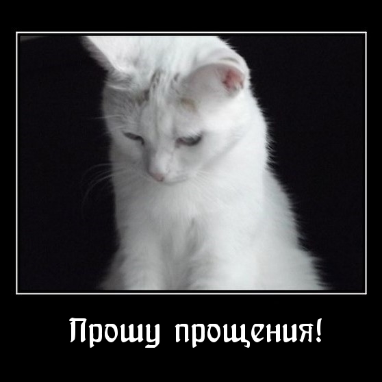 Прошу прощения!