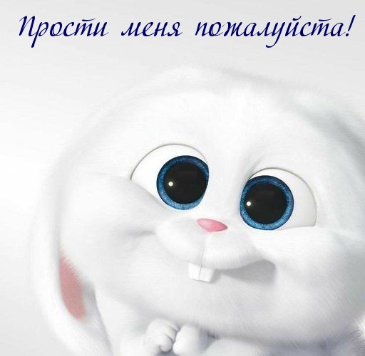 Прости меня пожалуйста!