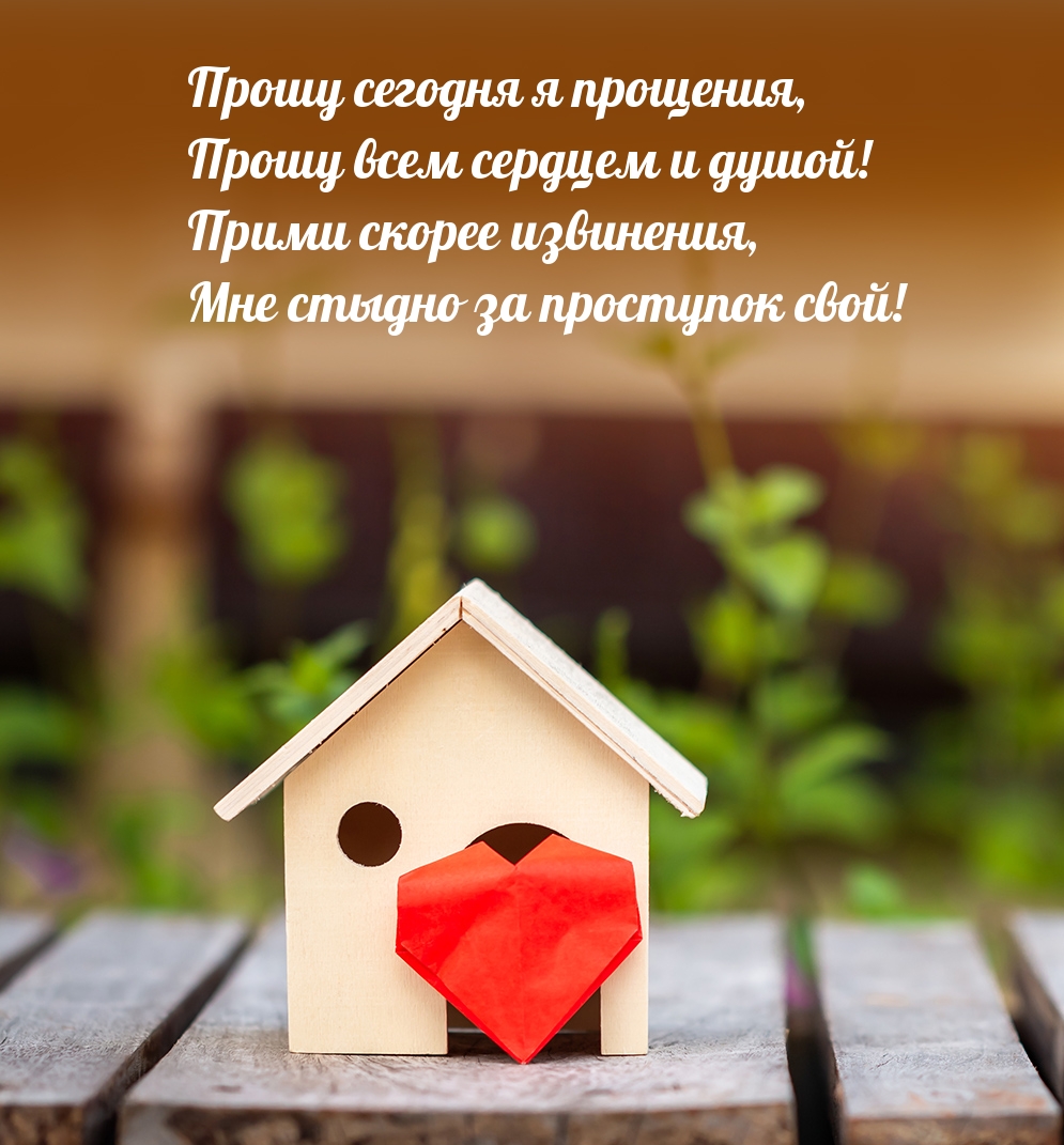 Прошу сегодня я прощения