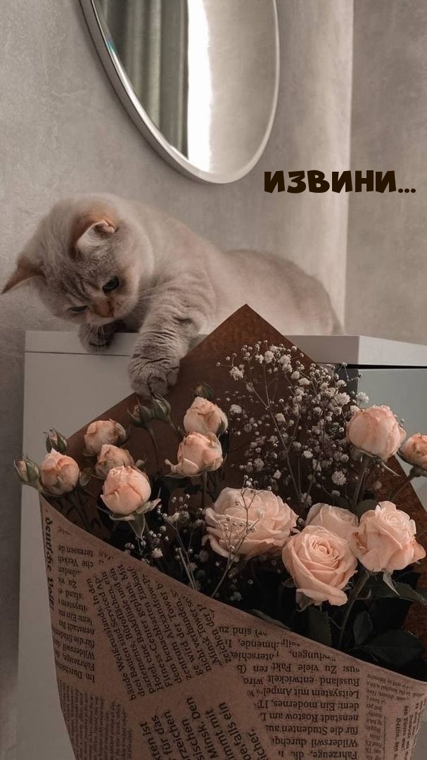 Извини…
