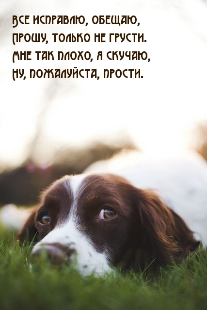 Ну, пожалуйста, прости