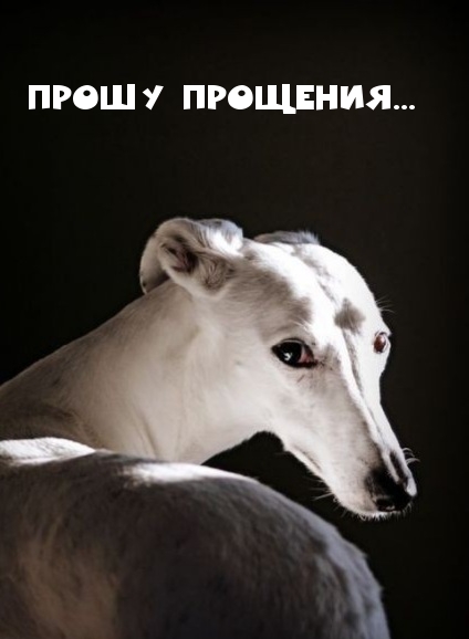 Прошу прощения…