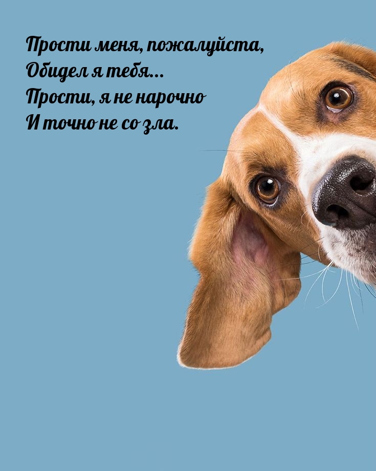 Прости меня, пожалуйста