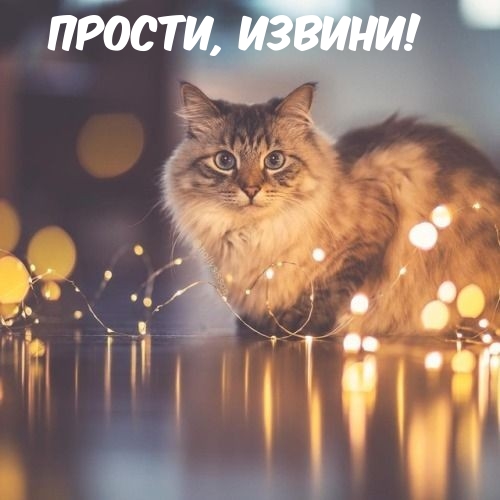 Прости, извини!