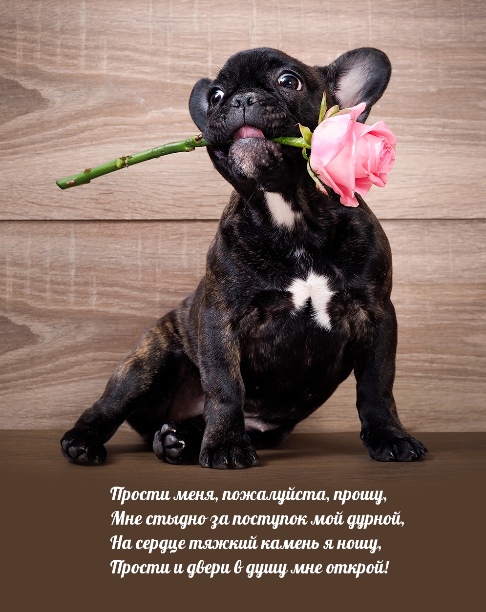 Прости меня, пожалуйста, прошу