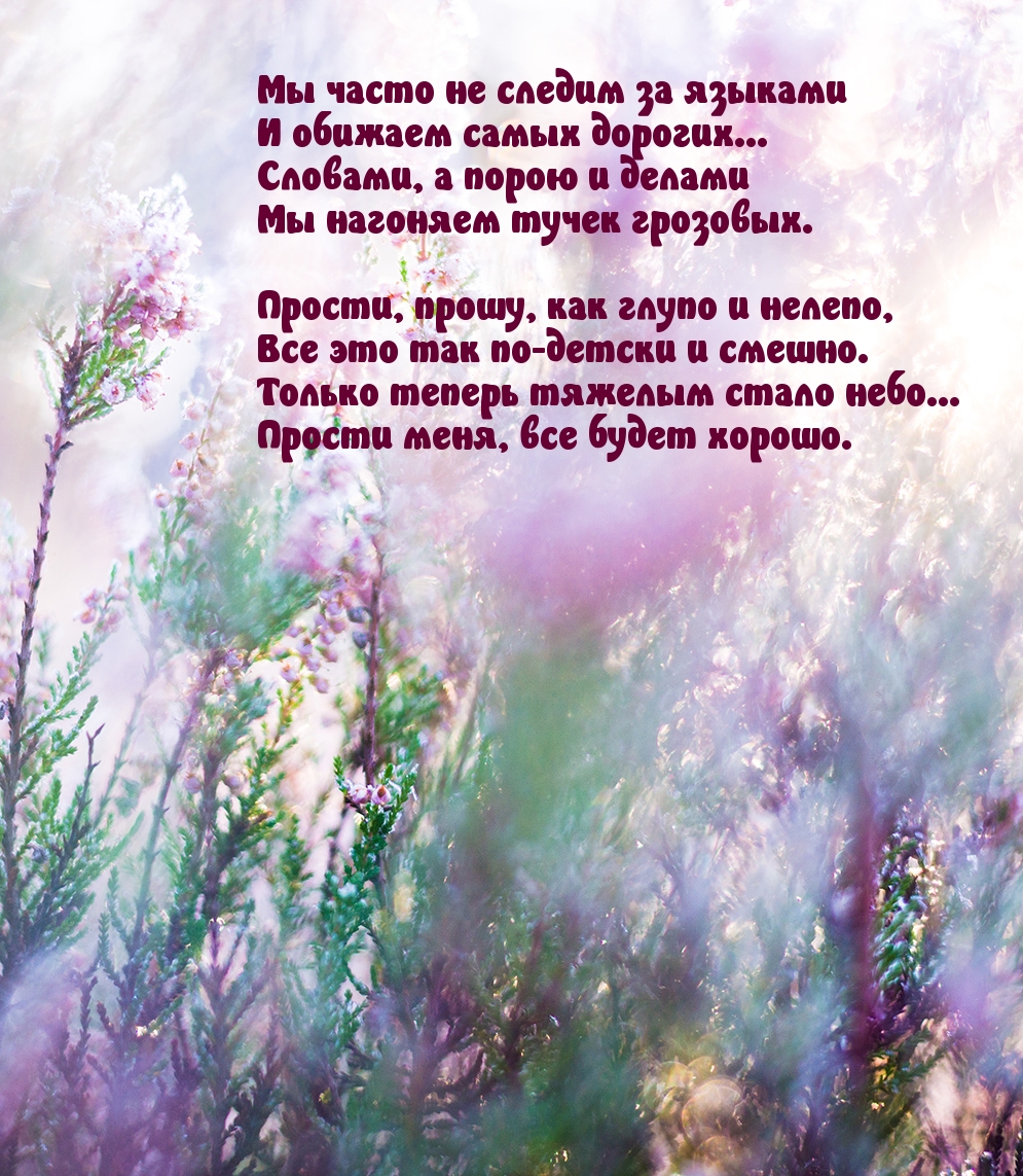 Прости, прошу, как глупо и нелепо