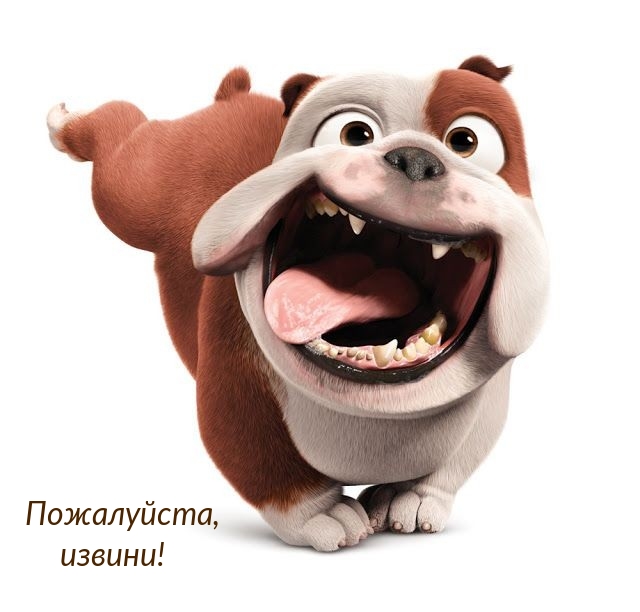 Пожалуйста, извини!