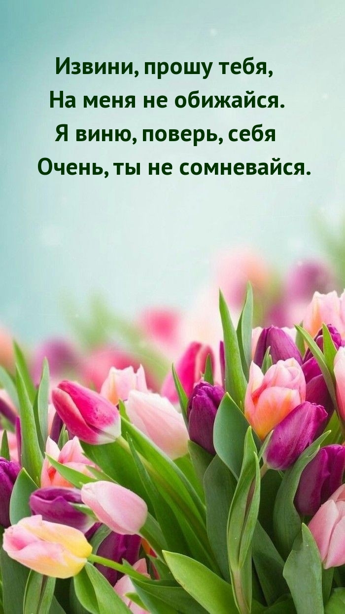 Извини, прошу тебя, на меня не обижайся.