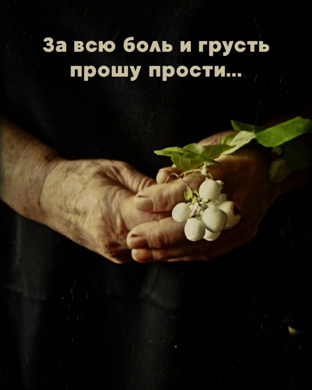 За всю боль и грусть прошу прости…