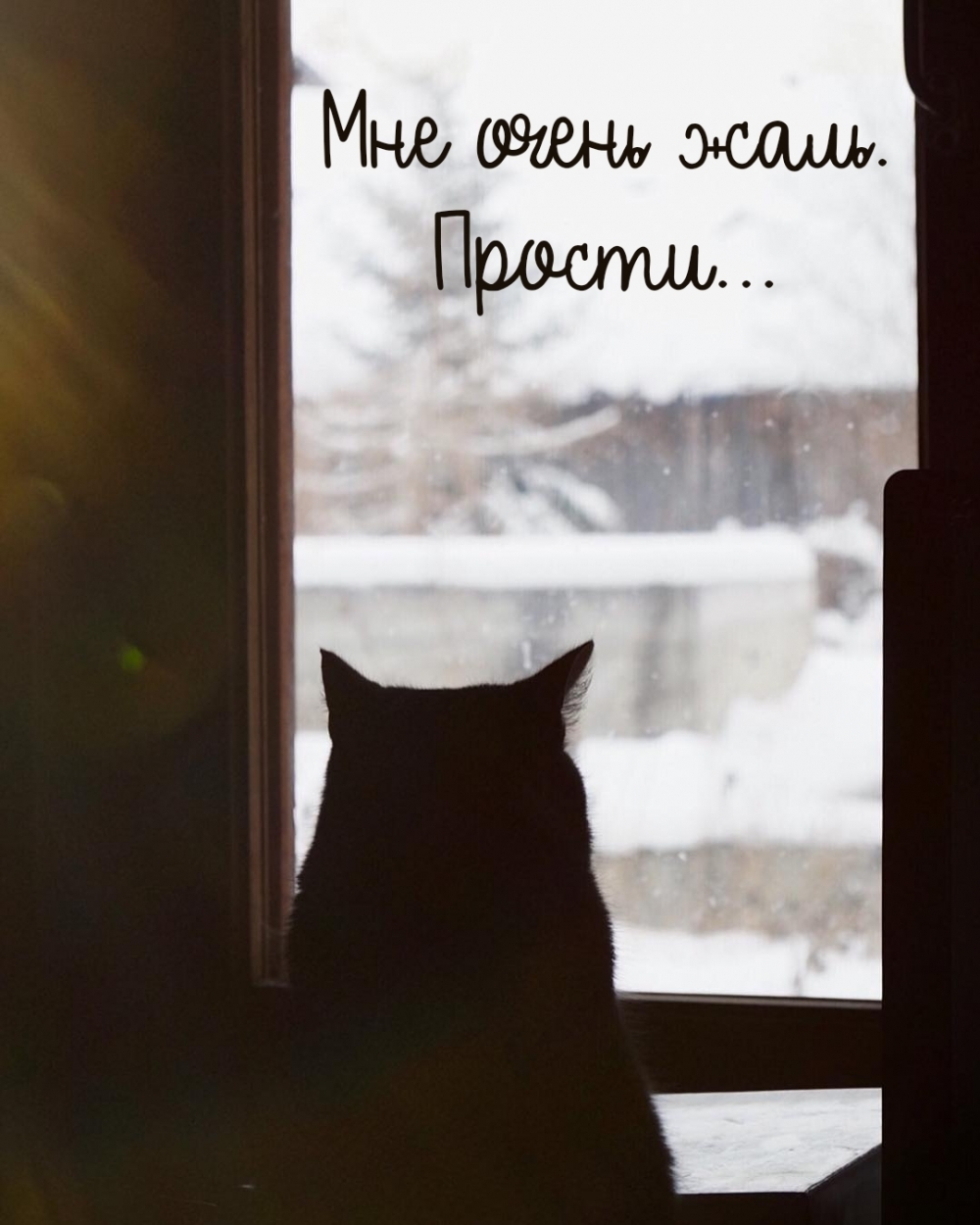 Мне очень жаль. Прости…