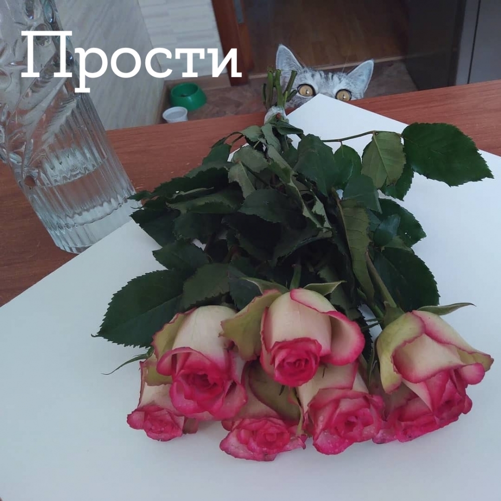 Прости