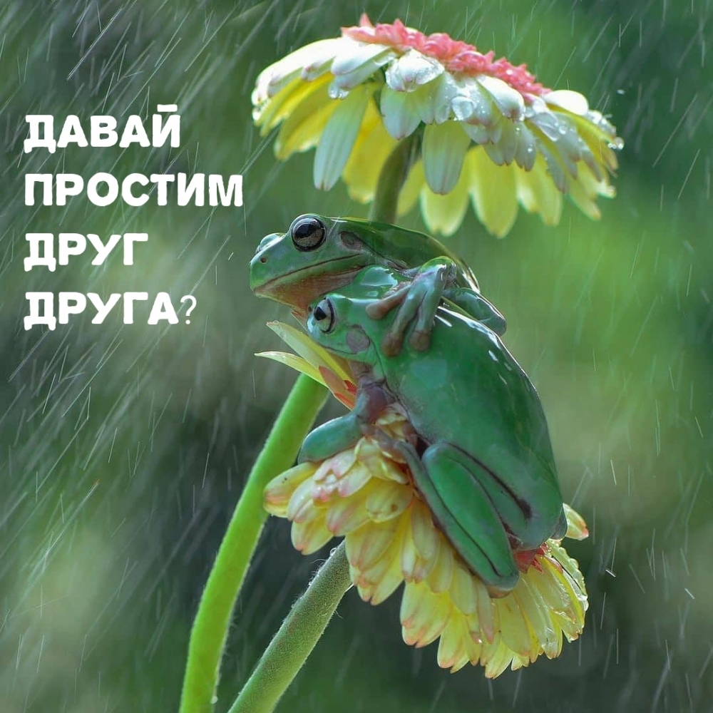 Давай простим друг друга?