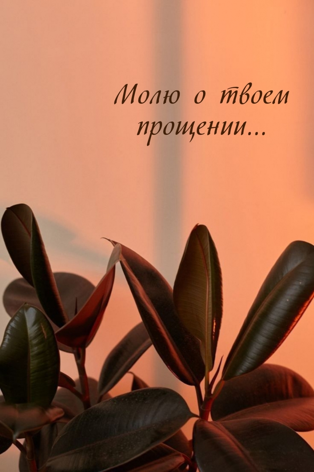 Молю о твоем прощении…
