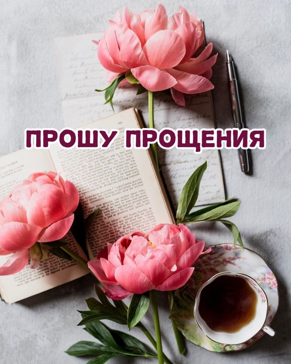 Прошу прощения