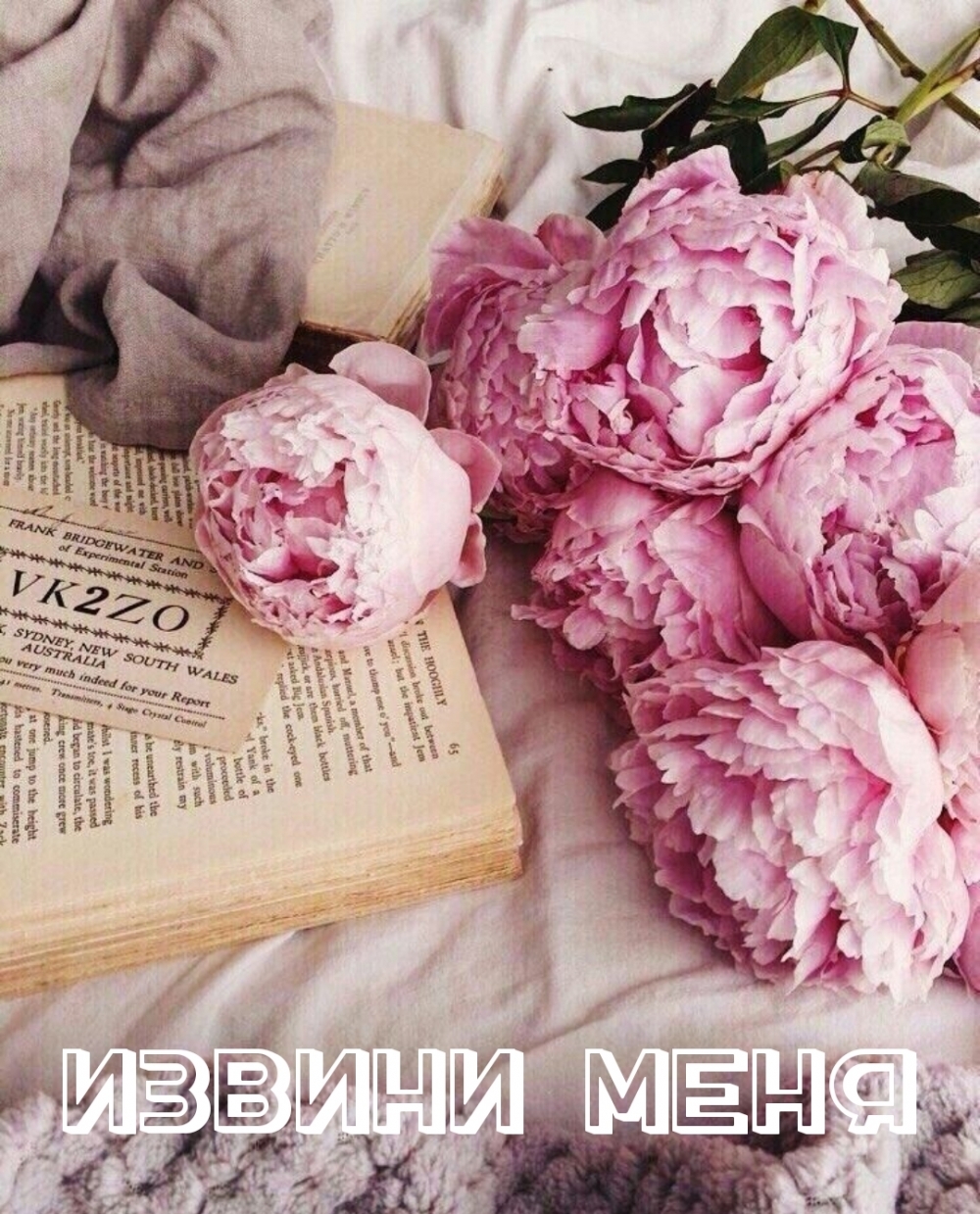 Картинки с надписями.  Извини меня.