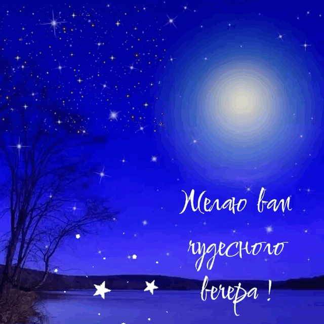 Желаю вам чудесного вечера.
