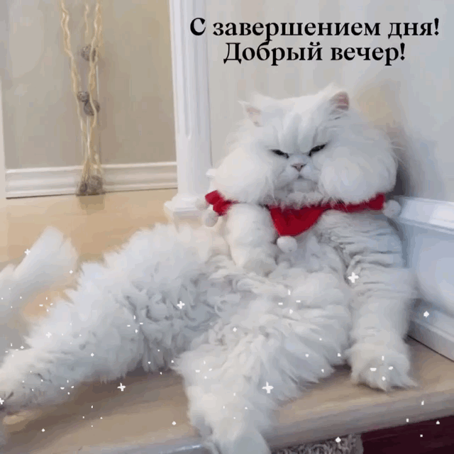 С завершением дня! Добрый вечер!