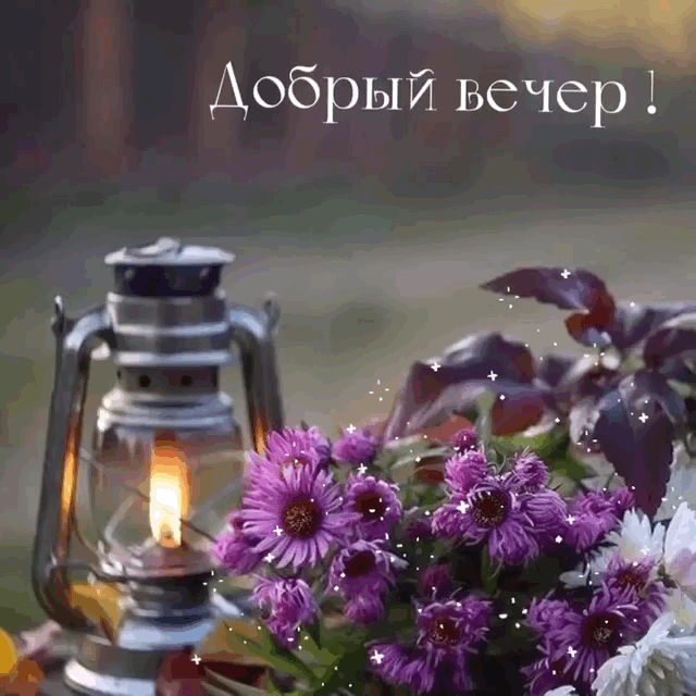 Добрый вечер!