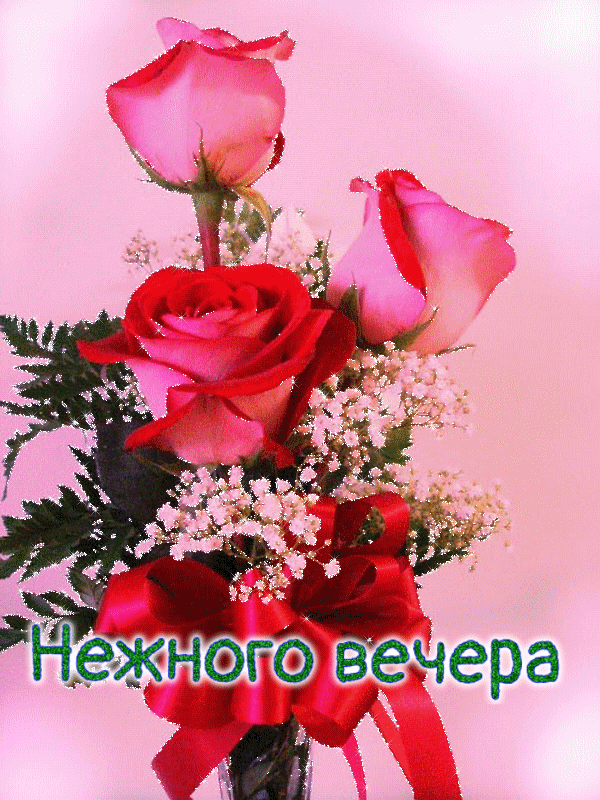 Нежного вечера