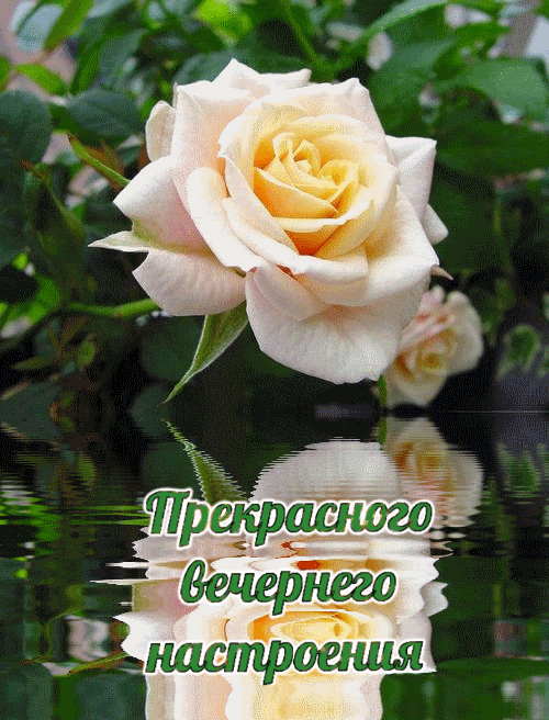 Прекрасного вечернего настроения
