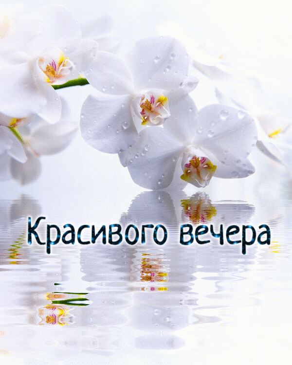 Красивого вечера