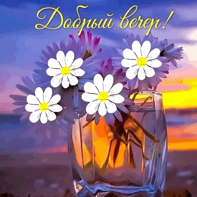 Добрый вечер!