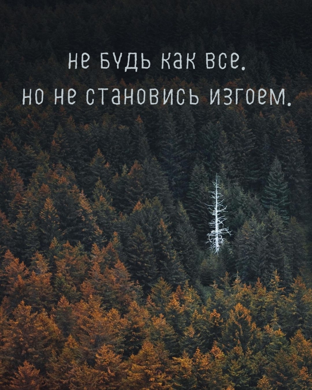 Не будь как все. Но не становись изгоем.