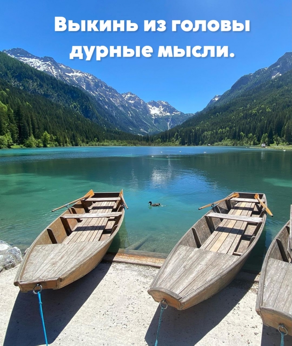Выкинь из головы дурные мысли.