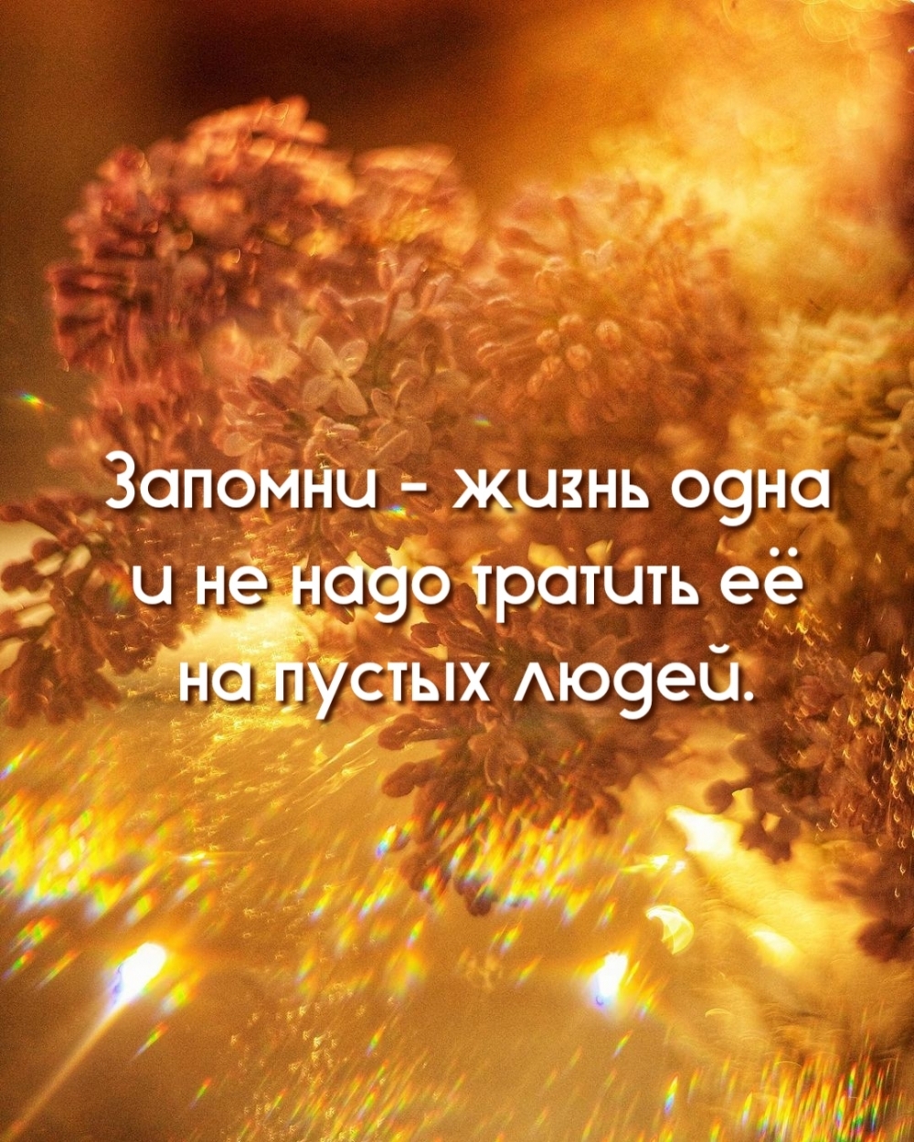 Запомни — жизнь одна и не надо тратить её на пустых людей.