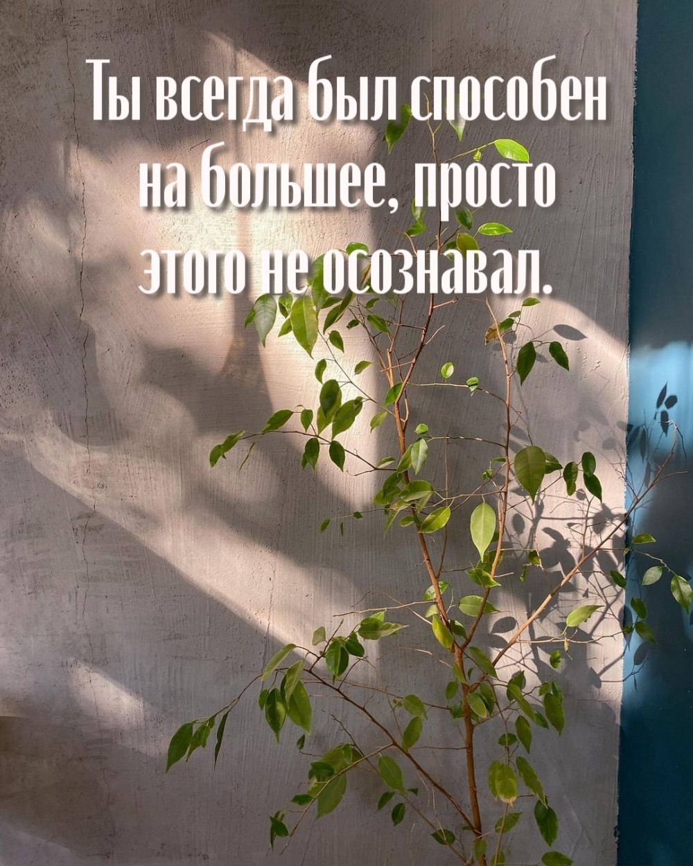 Ты всегда был способен на большее, просто этого не осознавал.