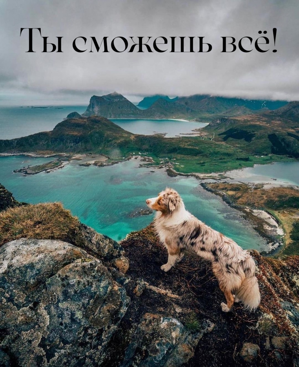 Ты сможешь всё!