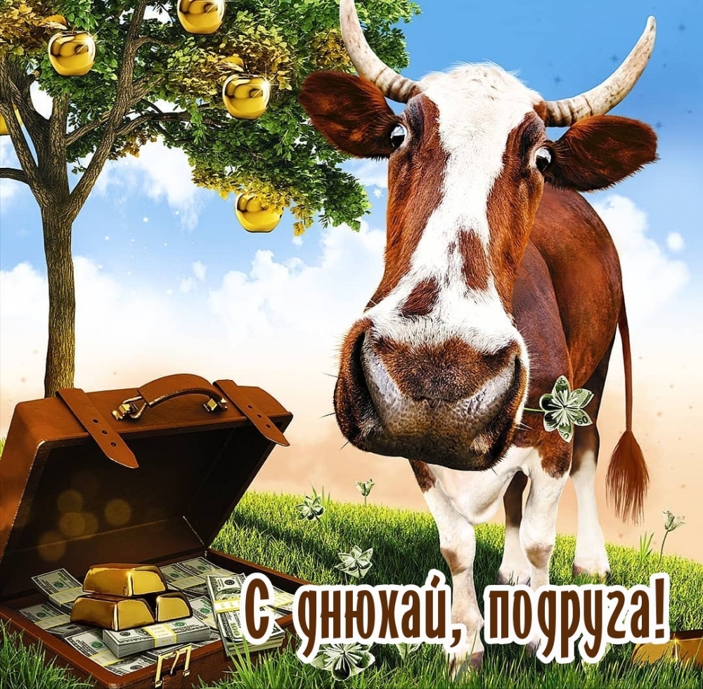 С днюхай, подруга!