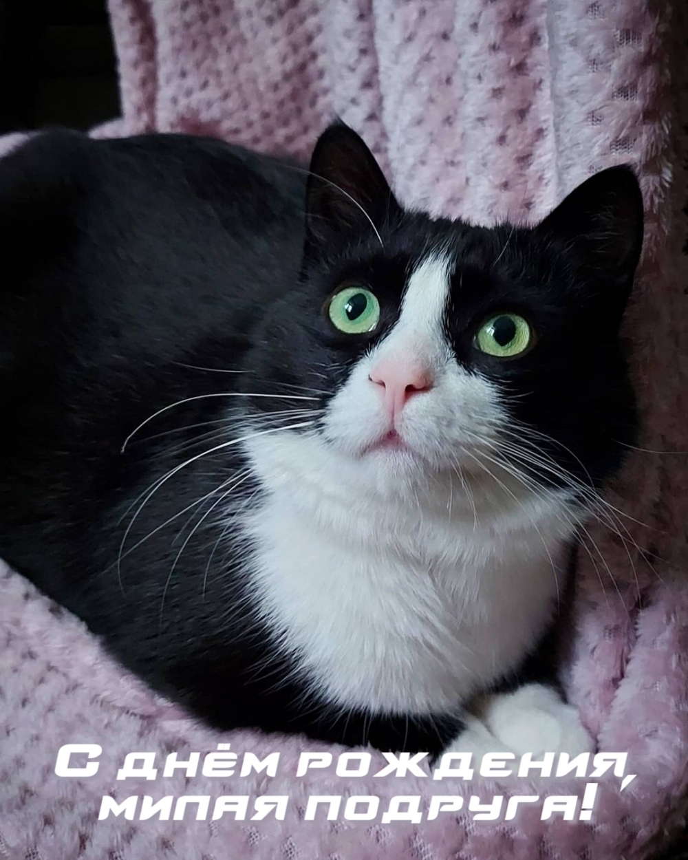 С днём рождения, милая подруга!