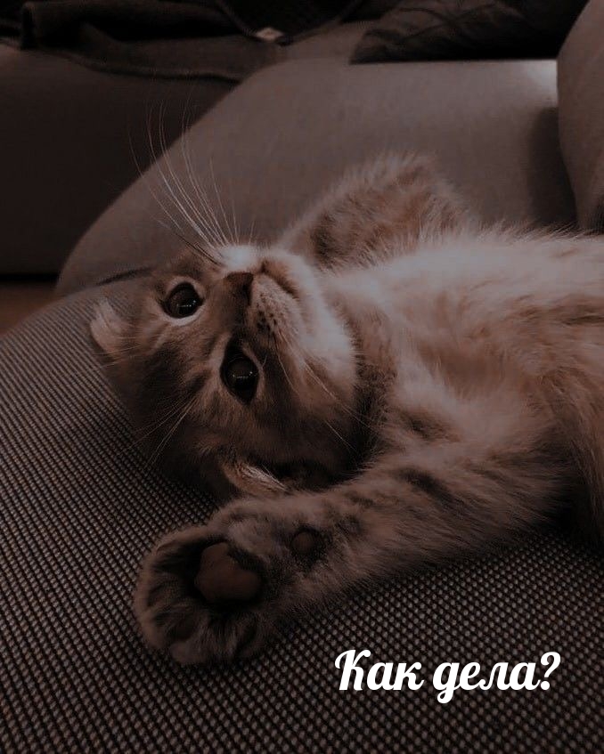 Как дела?