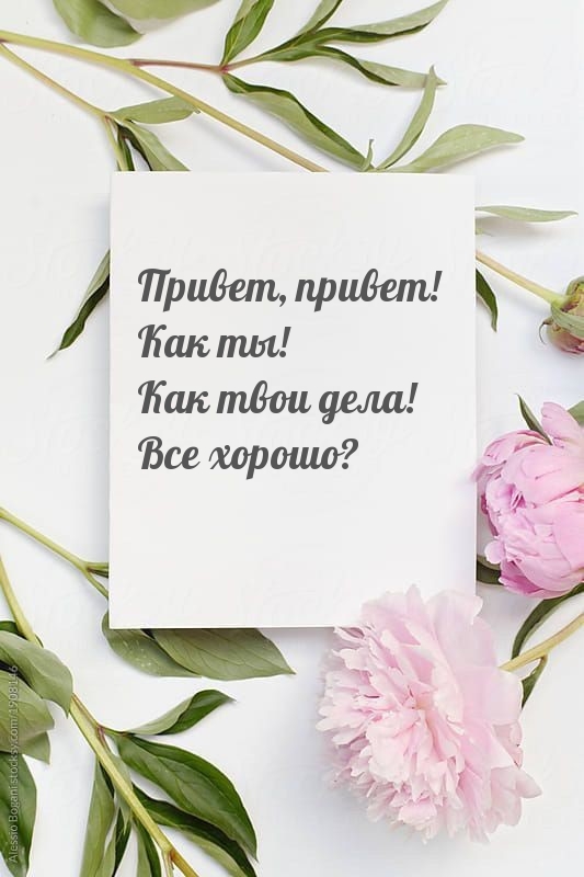 Картинки с надписями.  Привет, привет! Как ты! Как твои дела! Все хорошо?.