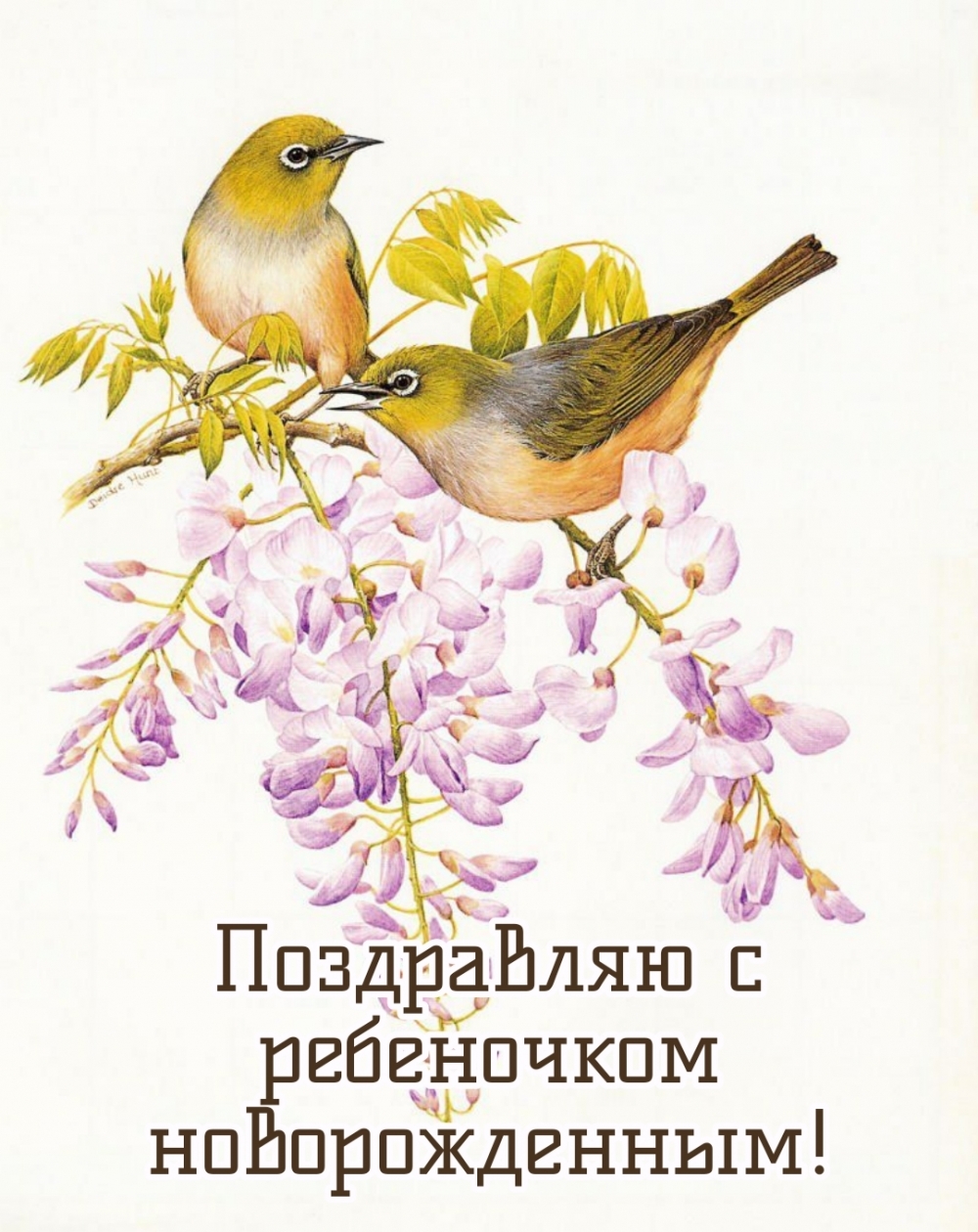 Поздравляю с ребеночком новорожденным!